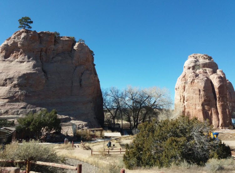 Navajo Nation Zoo (Diné Bikéyah binaaldeehii dóó chʼil danílʼínídi), United States